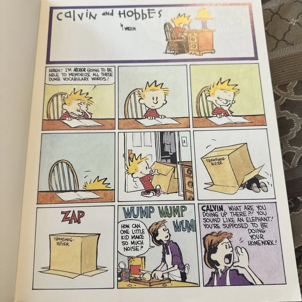Calvin and Hobbes: A Calvin and Hobbes 2 Children's graphic novel Books